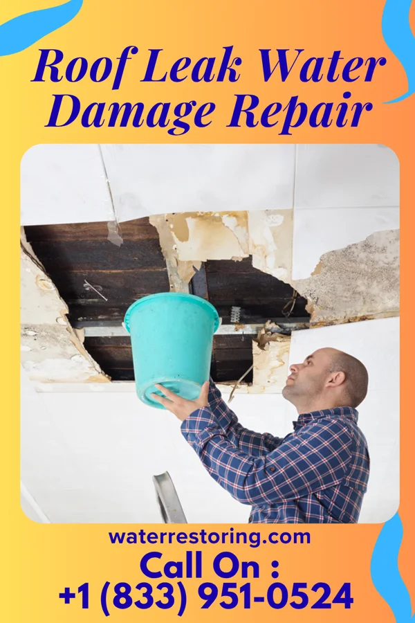 Roof Leak Water Damage Repair in Manitou Springs, CO